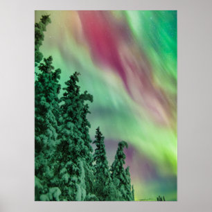 Poster Luzes do Norte Inverno em Glennallen, Alasca