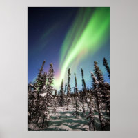 Luzes do norte | Parque Nacional Denali