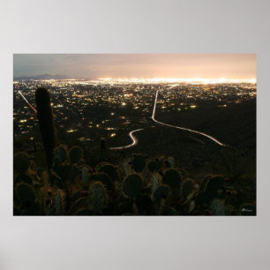 Pôster Luzes Noturnas de Cactus