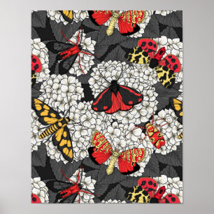 Poster Luzes sobre hidrangea branca