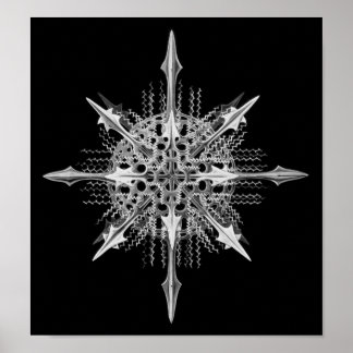 Poster Lychnaspis miranda Ernst Haeckel Belas Artes