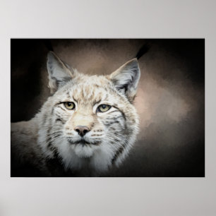 Pôster Lynx