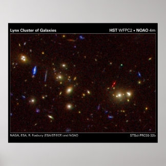 Poster Lynx Cluster de Galáxias