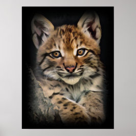 Poster Lynx Cub