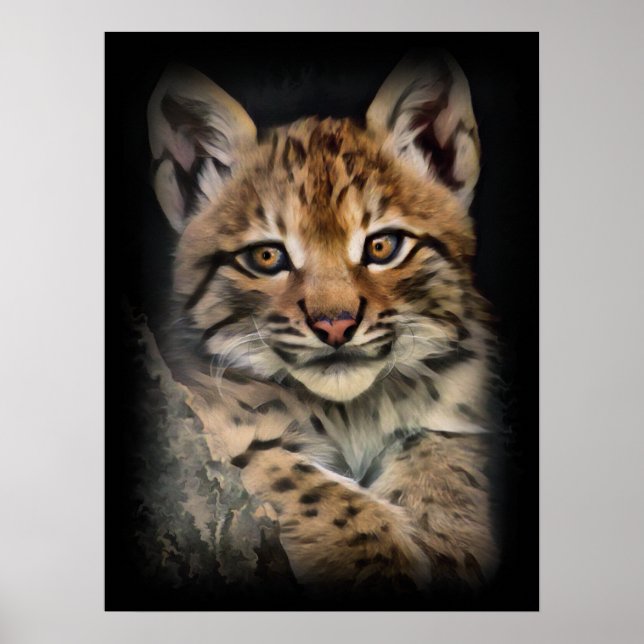 Poster Lynx Cub (Frente)
