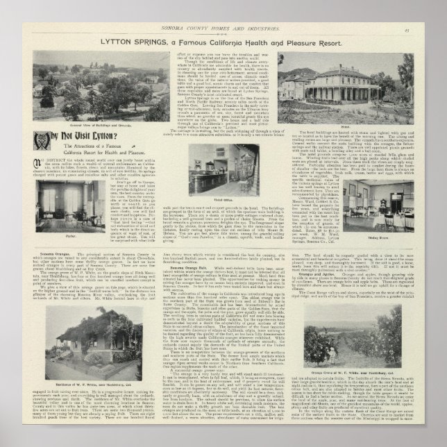 Pôster Lytton Primaveras, Califórnia (Frente)