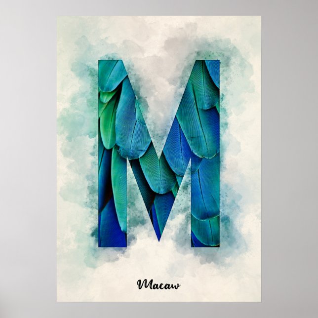 Poster M é para Macaw (Frente)