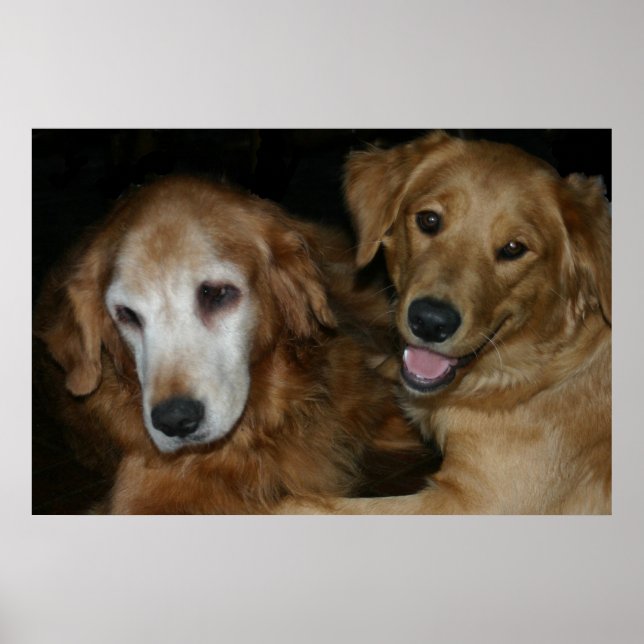 POSTER M & H 2 (Frente)