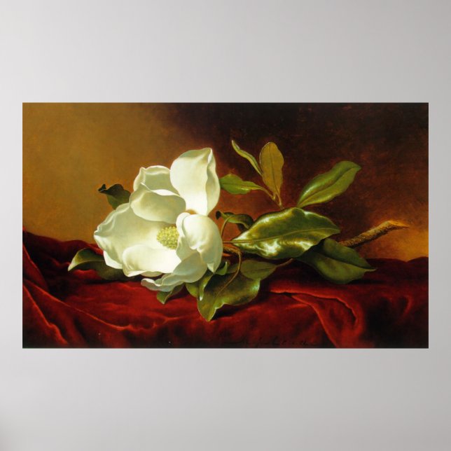 Poster M J Heade | A Magnolia em Red Velvet (Frente)