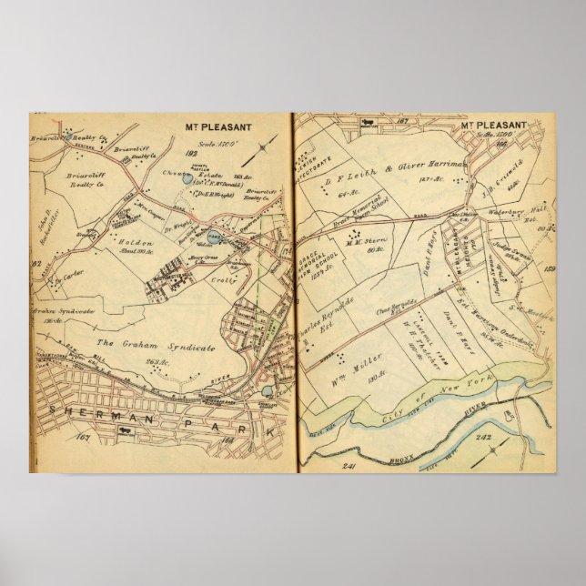 Pôster M. Pleasant, Nova Iorque 3 (Frente)