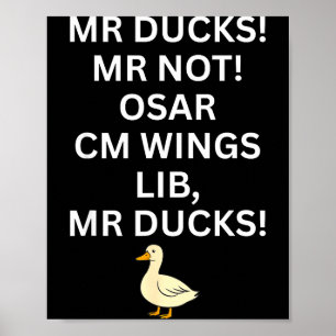 Poster M R Patos M R Não O S M R Cm Wangs Lib M R Patos