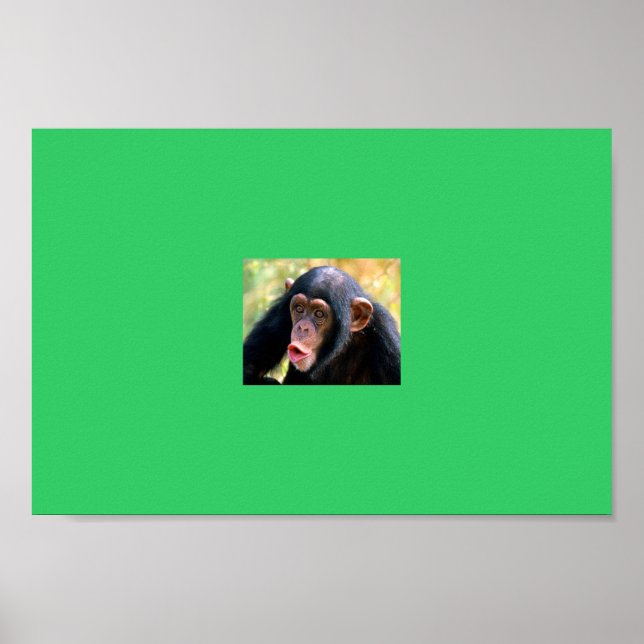 Pôster macaco (Frente)