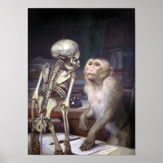Pôster Macaco antes do esqueleto (Frente)