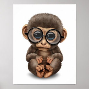 Pôster Macaco-Bebê-Bonito Vestindo Óculos-Olhos Brancos