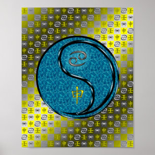 Poster Macaco cancer e Água