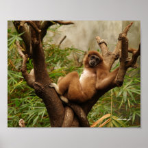 Macaco em uma tela de desenho