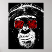 Macaco engraçado