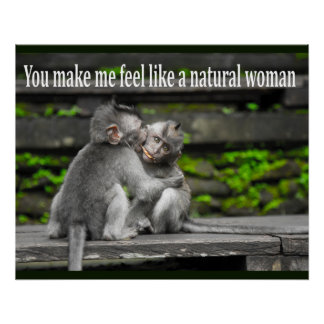 Pôster Macaco Engraçado Ape Gorilla Nemes com Ditos Engra