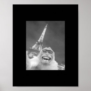 Poster Macaco Engraçado Selfie Torre Eiffel Em Paris Home