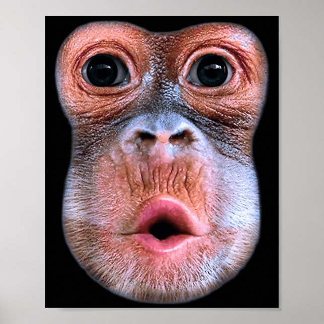 Poster Macaco engraçado soprando rosto barriga, Macaco So (Frente)