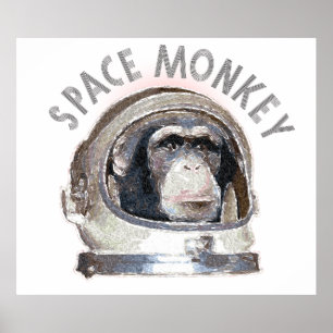 Poster Macaco espacial