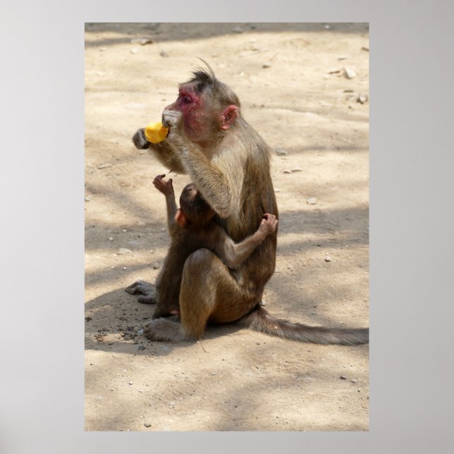 Poster Macaco - Eu quero algo também (Frente)