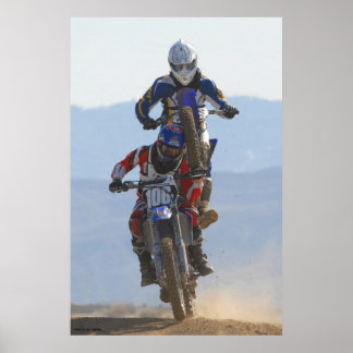 Poster Macaco Nas Costas