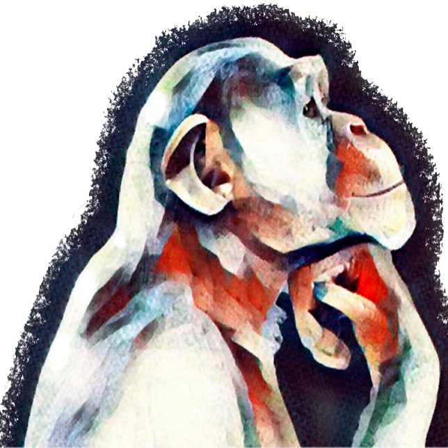 Poster Macaco-pensador branco (Criador carregado)