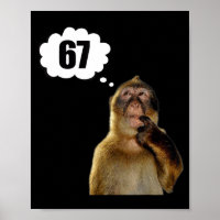 Macaco Pensativo Engraçado Meme Seis Sete 6 7 Meme