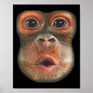 Poster Macaco soprando a cara da barriga