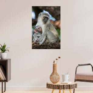 Poster Macaco Vervet Expressivo na África