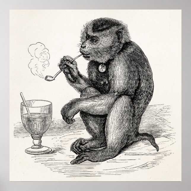 Pôster Macaco Vintage Fumando macacos Pipe Animal (Frente)