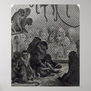 Pôster Macacos de Londres