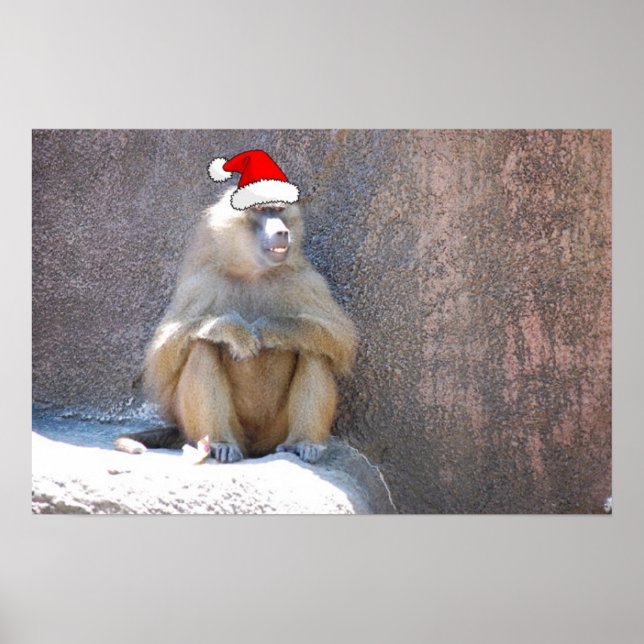 Pôster Macacos e babuínos de Natal (Frente)