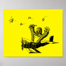 Macacos Em Aviões