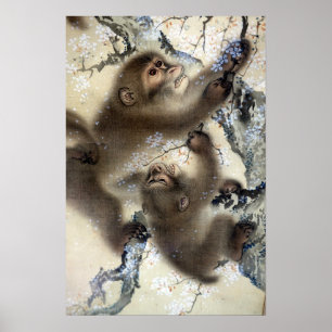 Poster Macacos Mori Soltos em uma árvore florescente