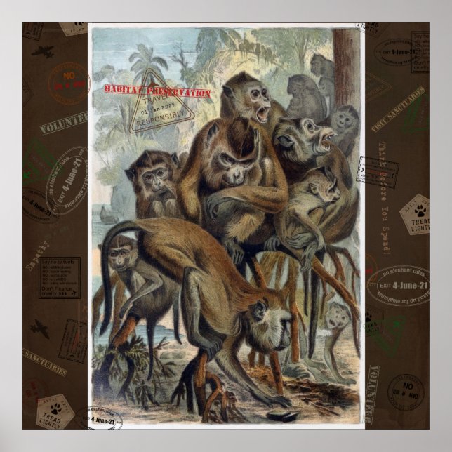 Poster Macacos para Viagem responsável (Frente)