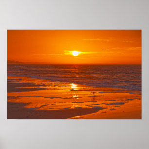 Poster Maçarico-grande na Praia ao Amanhecer, Flórida