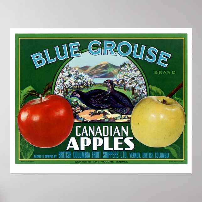 Poster Maçãs Canadianas do Grupo Azul (Frente)