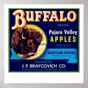 Poster Maçãs de Buffalo