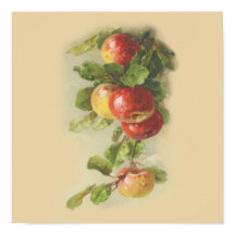 Maçãs de coleção