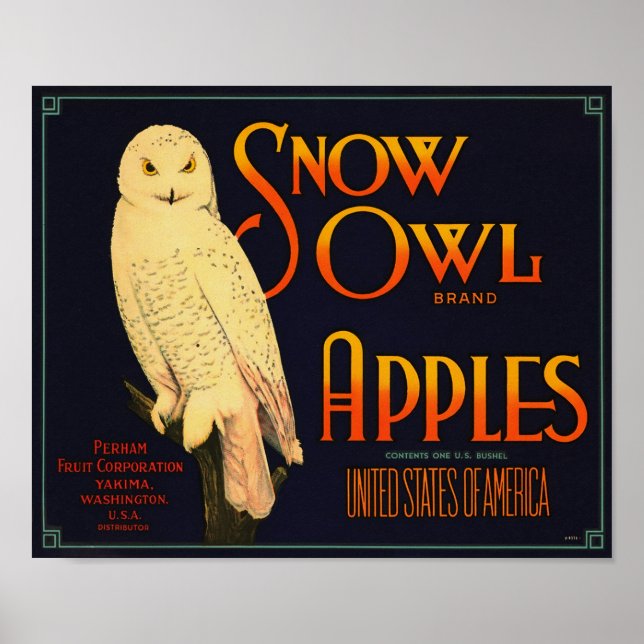 Poster Maçãs Marca Snow Owl Yakima Washington (Frente)