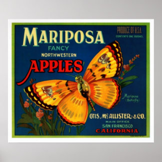 Pôster Maçãs Mariposa