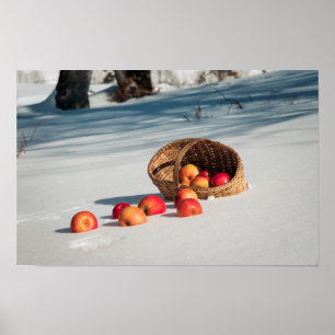 Poster Maçãs na neve