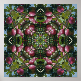 Poster Maçãs Vermelhas Na Árvore Arte Abstrata Da Naturez