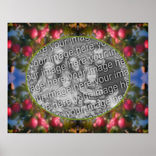 Poster Maçãs Vermelhas No Quadro Da Árvore Adicionar Sua