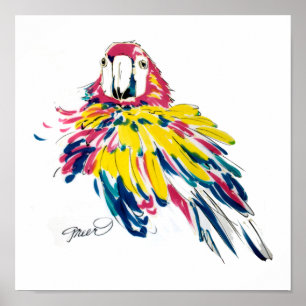 Pôster Macaw