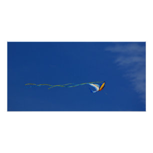 Pôster Macaw Kite