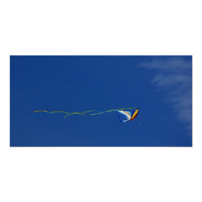 Pôster Macaw Kite (Frente)