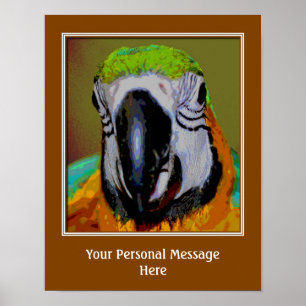 Pôster Macaw Parrot Face Crie Sua Própria Cota